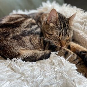 Meet your Posher, Laura